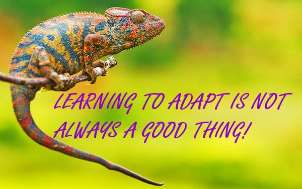 Learning to Adapt