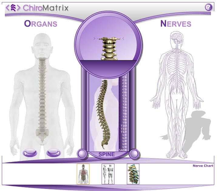 3D Spine Simulator – Looks very useful.